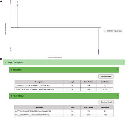 QUFIND: tool for comparative prediction and mining of G4 quadruplexes overlapping with CpG islands